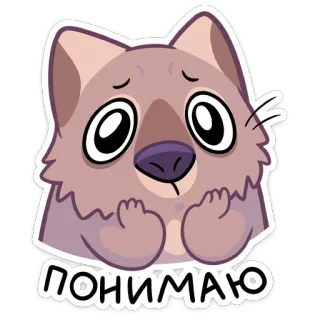😯 ПОНИМАЮ cachorro, fofo, filhote, triste, adesivo telegram sticker