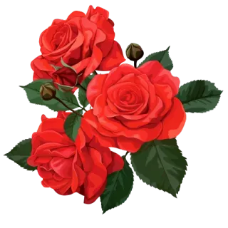 🌸 роза, цветок, красный, букет, цветочный, природа, растение telegram sticker