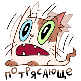 🥴 ПО ТЯМ chat, dessin animé, surpris, drôle, animal whatsapp sticker