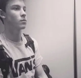😐 Shawn Mendes celebrity, singer, portrait, young adult, male telegram sticker