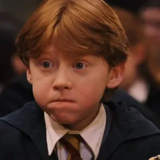🦁 Ron Weasley Harry Potter ロン・ウィーズリー, ハリー・ポッター, 魔法使い, 男の子, 赤毛 telegram sticker