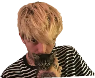 🐱 Lil Peep lil peep, เพลง, นักร้อง, แมว, ลูกแมว, รอยสัก telegram sticker