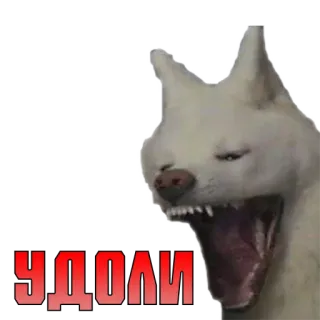 😡 УДОЛИ dog, russian language, sticker, meme, funny, animal telegram sticker