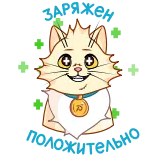 ➕ 125 kot, naklejka, zwierzę, zwierzak, kreskówka telegram sticker