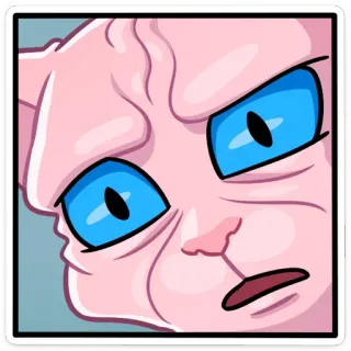 ⁉️ cat, sphinx, angry, animal, pet, funny telegram sticker
