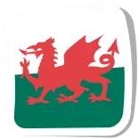🏴