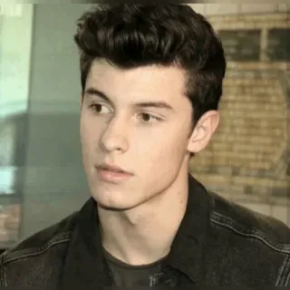 👀 Shawn Mendes singer, celebrity, pop, music, portrait telegram sticker