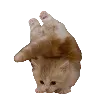 🫣