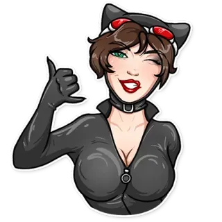 🤙 Catwoman catwoman, batman, comics, dc comics, superheld, bösewicht, frau, cartoon telegram sticker