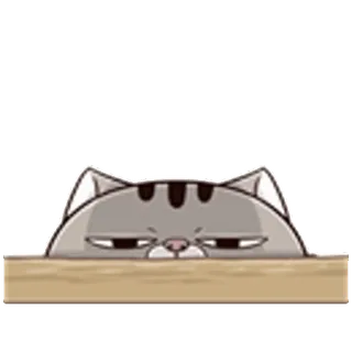 😶 Katze, Aufkleber, lustig, süß, gucken, Tier, Haustier, graue Katze telegram sticker