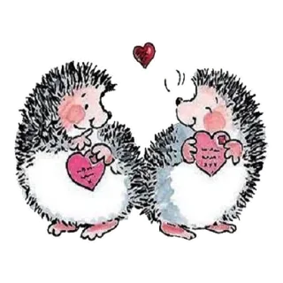 ❤️ hérisson, cœur, amour, mignon, animal, Saint-Valentin telegram sticker