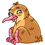 😖 птица, киви, милый, животное, мультик whatsapp sticker