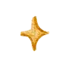 ✨