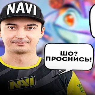 ❓ ШО? ПРОСНИСЬ! eSports, Navi, Dota 2, Gamer, Profi whatsapp sticker