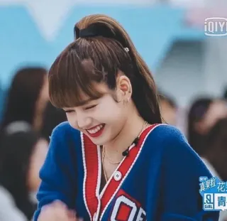 Lisa blackpink @about_cute_shincha0s kang pack telegram stickers