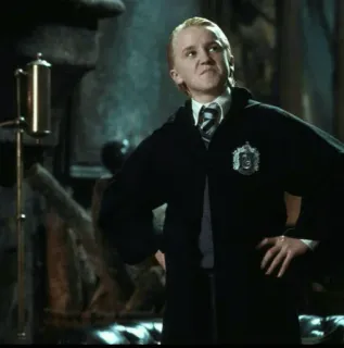 🐾 Draco Malfoy Harry Potter 드레이코 말포이, 해리 포터, 마법사, 슬리데린, 학생, 마법, 판타지 telegram sticker