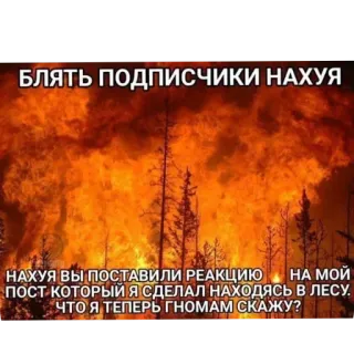 🔥 БЛЯТЬ ПОДПИСЧИКИ НАХУЯ
НАХУЯ ВЫ ПОСТАВИЛИ РЕАКЦИЮ
НА МОЙ
ПОСТ КОТОРЫЙ Я СДЕЛАЛ НАХОДЯСЬ В ЛЕСУ.
ЧТО Я ТЕПЕРЬ ГНОМАМ СКАЖУ? 불, 숲, 러시아어, 텍스트, 욕설 telegram sticker