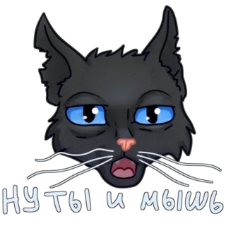 😾 Ну ты и мышь แมว, สัตว์, รัสเซีย, ข้อความ, มีม telegram sticker