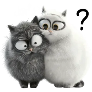 🤨 ปดติ่ง koty, zwierzęta, znak zapytania, słodkie, śmieszne, kreskówka telegram sticker