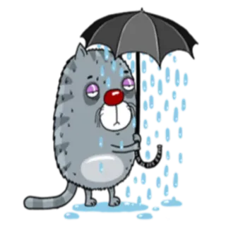 ☔️ 고양이, 비, 우산, 슬픈, 회색, 스티커, 동물, 날씨 telegram sticker