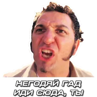 😠 НЕГОДЯЙ ГАД ИДИ СЮДА, ТЫ ira, frustración, gritando, hombre, ruso, ofensivo telegram sticker