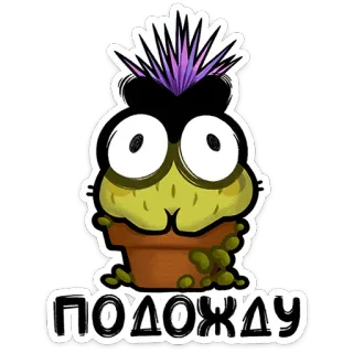 ⭐ ПОДОЖДУ xương rồng, hài hước, thực vật, hoạt hình, dễ thương, mắt telegram sticker