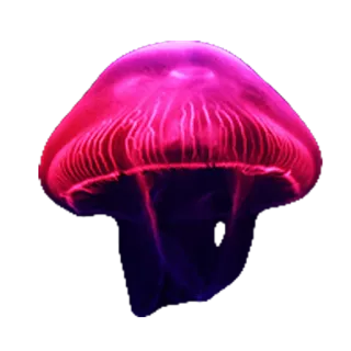 💖 meduza, stworzenie morskie, ocean, życie morskie, fioletowy, różowy, bioluminescencja telegram sticker