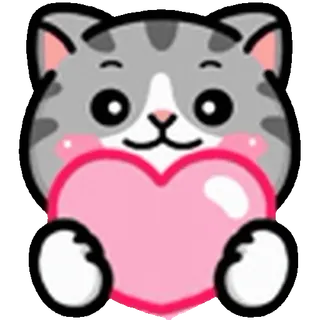 ❤️