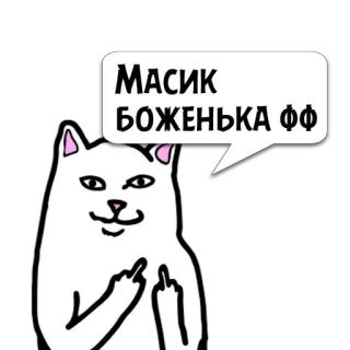😼 МАСИК БОЖЕНЬКА ФФ gatto, dito medio, gesto offensivo, stile Ripndip whatsapp sticker