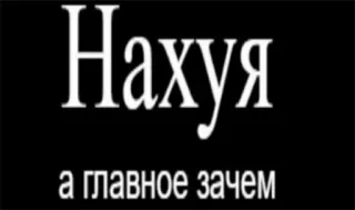 🤔 Нахуя
а главное зачем beleidigend, russisch, text, frage, sarkasmus telegram sticker