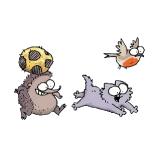 ⚽ hedgehog, bird, cat, cartoon, animals whatsapp sticker