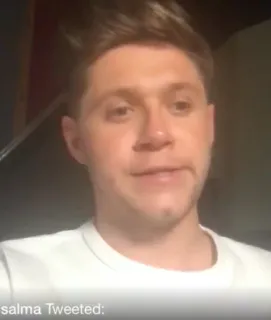 🎸 Niall Horan salma Tweeted: retrato, celebridade, pessoa, cantor telegram sticker
