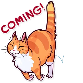 🏃 COMING! cat, animal, orange, cute, funny telegram sticker