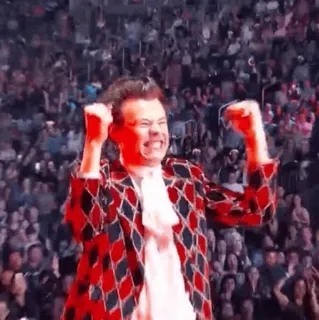 🎵 Harry Styles Harry Styles, celebration, pop star, music, performer, fan, singer telegram sticker
