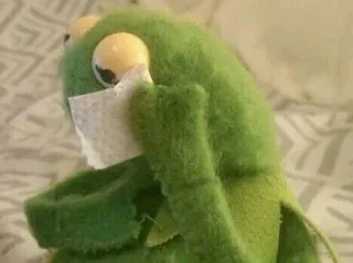 🐸 Kermit kermit, muppet, triste, burattino, fazzoletto, piangendo telegram sticker