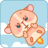 🚀 cat, rocket, cute, cartoon, animal telegram sticker