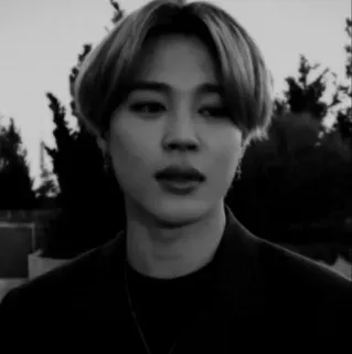 🌑 Jimin чимин, kpop, bts, певец, айдол telegram sticker