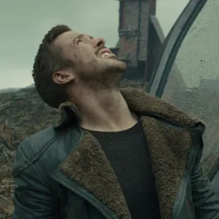 Ryan Gosling @JakeGyllen whatsapp stickers