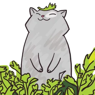 ☘ gatto, animale, carino, animale domestico, natura, piante telegram sticker