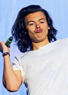 😏 Harry Styles harry styles, singer, celebrity, musician, pop star telegram sticker