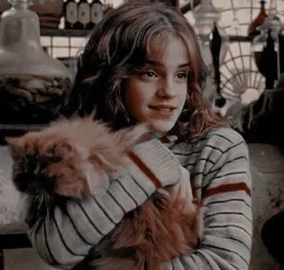 🦋 Hermione Granger Harry Potter Hermiona, Granger, Harry Potter, kot, książka, film whatsapp sticker