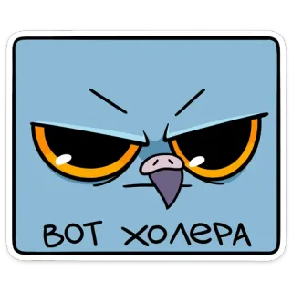 😠 ВОТ ХОЛЕРА นก, การ์ตูน, รัสเซีย, โกรธ, สติกเกอร์ telegram sticker