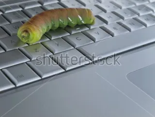 🐛 ulat, cacing, serangga, papan tombol, komputer, laptop, alam telegram sticker