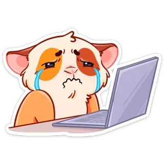 😢 เศร้า, ร้องไห้, แมว, คอมพิวเตอร์, แล็ปท็อป, เสียใจ, คาวาอิ telegram sticker