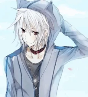🎐 anime, manga, boy, character, cat ears, hoodie telegram sticker