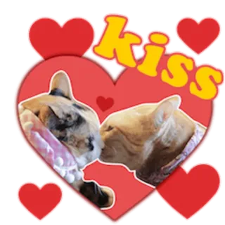 😘 Kiss cats, kiss, love, hearts, animals, cute, relationship telegram sticker