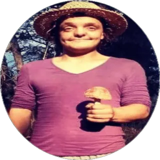 🍄 pessoa, chapéu, cogumelo telegram sticker