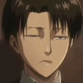 😂 Levi Ackerman Attack on Titan Levi, Anime, Attack on Titan, Hauptmann Levi, Heichou, AOT telegram sticker