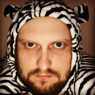 🌟 мужчина, зебра, худи, портрет, борода, глаза telegram sticker
