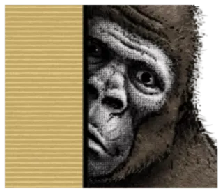 😐 macaco, animal, primata, gorila, vida selvagem, mamífero telegram sticker
